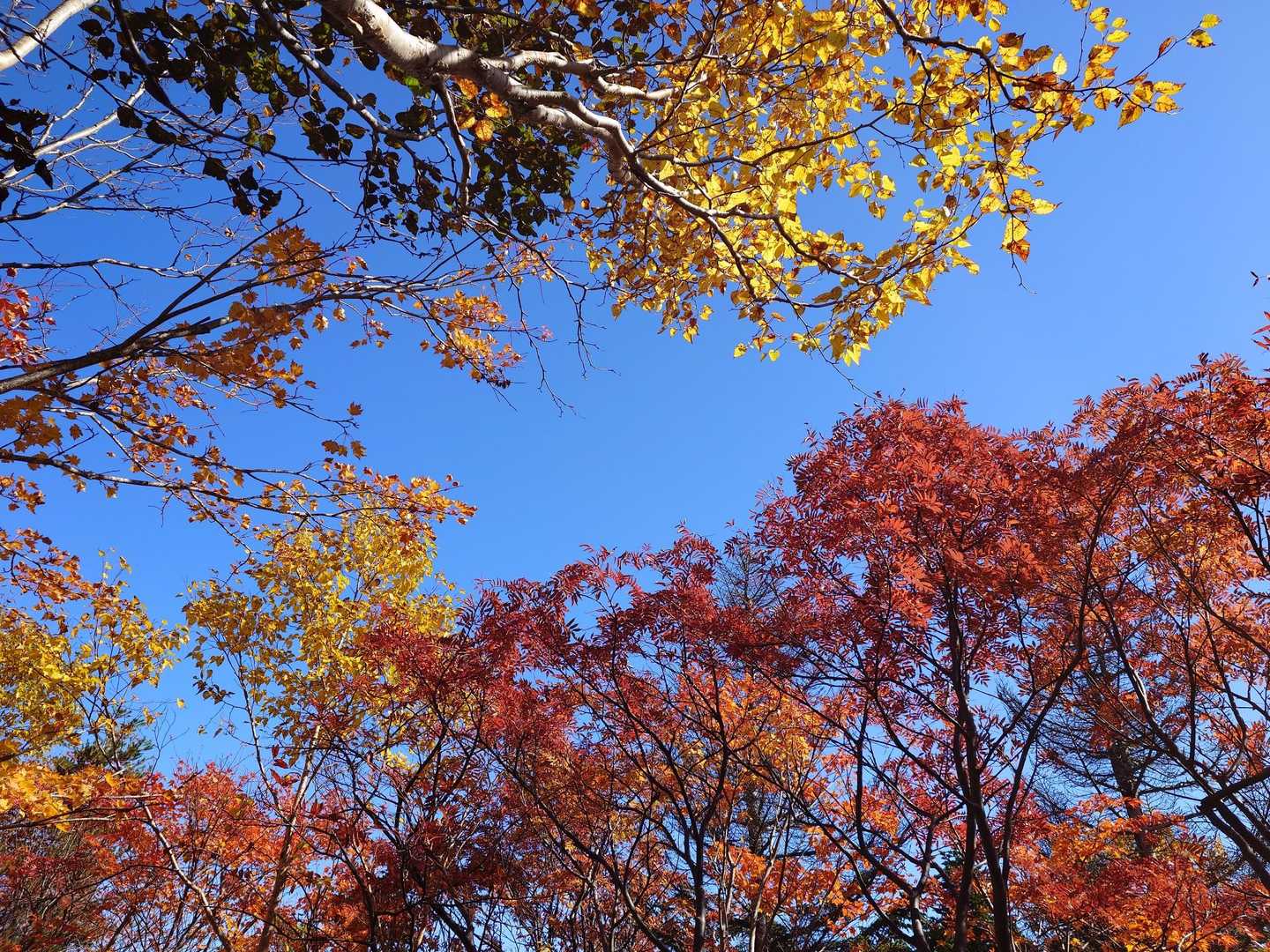 中天狗-駱駝山-一切経山 周回コースの写真