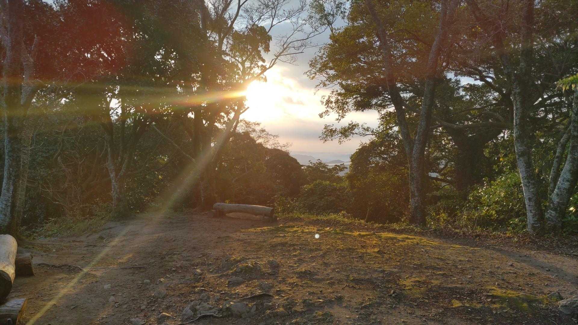 許斐山 往復コースの写真