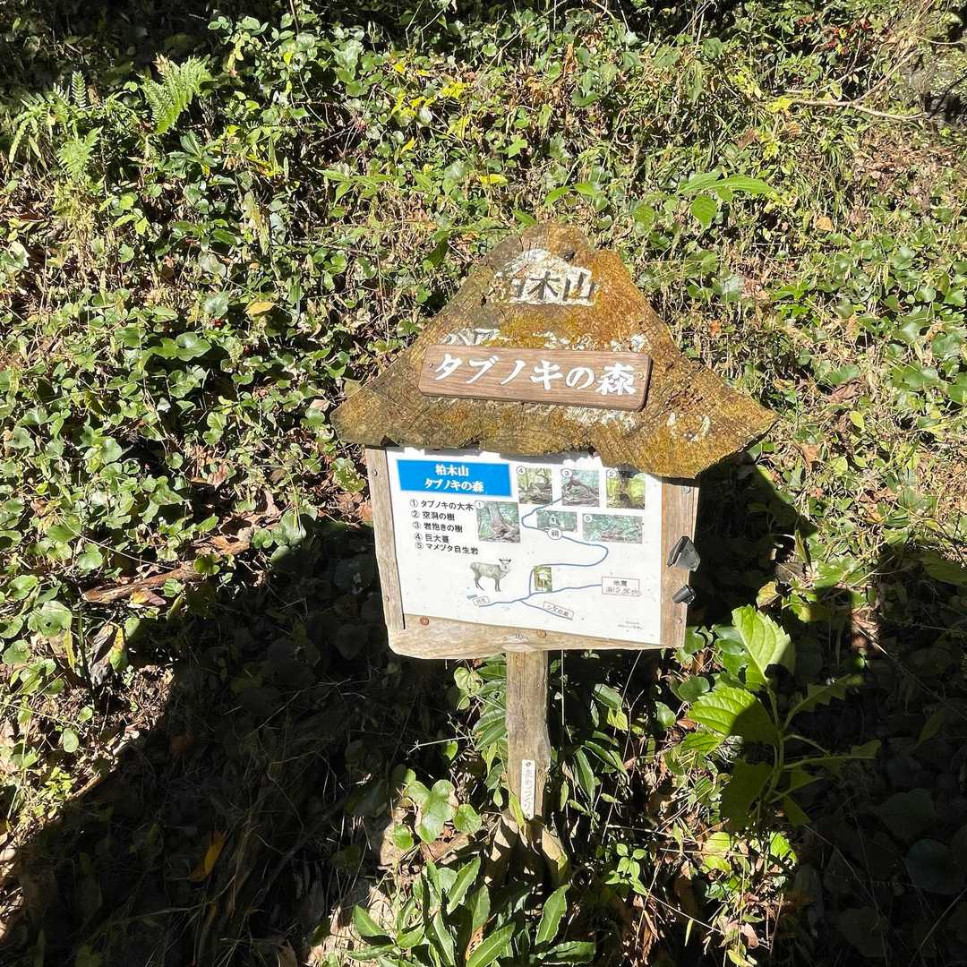 前回もそうですが下ってからのこの看板
全部は見つけられてないかも〜😂