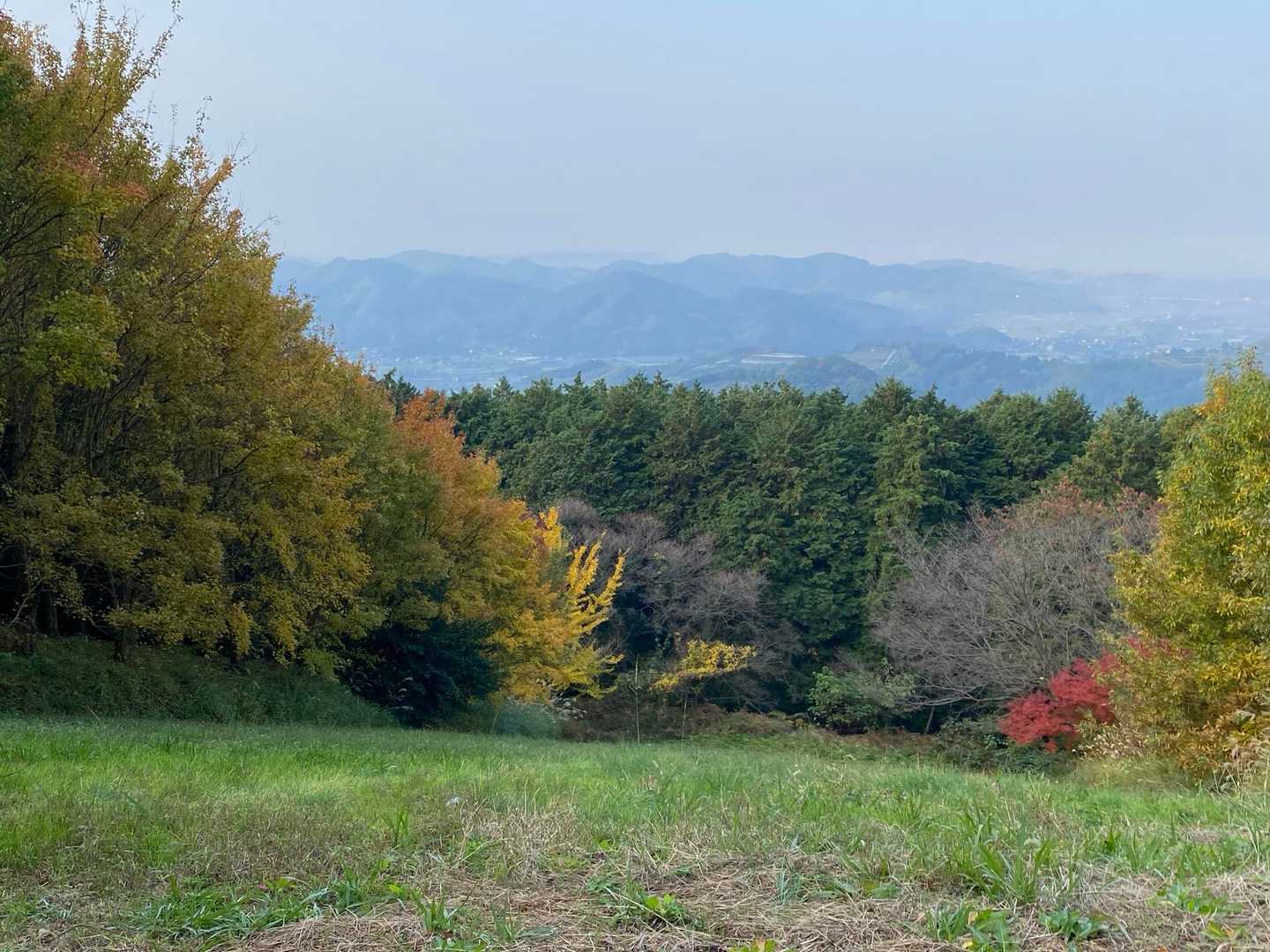 キャンプ場あたりからの眺め👌

帰りは広い方の(山鹿方面)で帰りました。
ミカン畑などがあるのでしっかりした舗装道には待避場もあり、確かに走りやすかったですね。クネクネ道は仕方ありません。