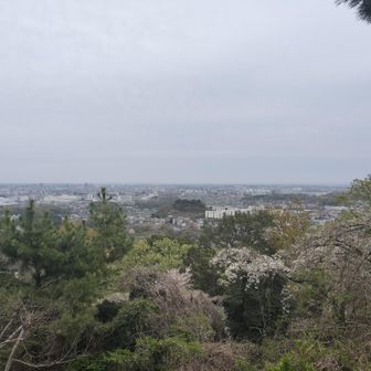 山頂からの眺め