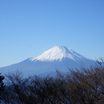 伊勢沢ノ頭からの富士山