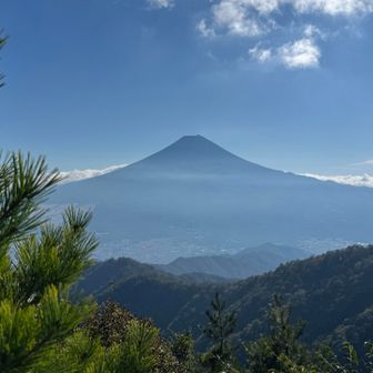 お見事✨松と富士山🗻
