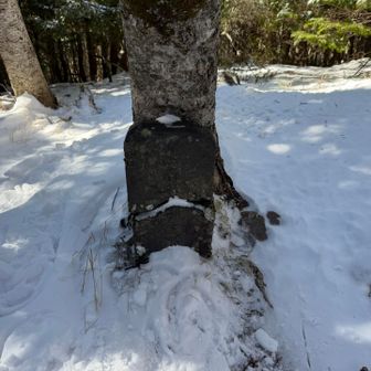 摩利支天とか書いてあった。

夏に、ここから先へ、
赤岳へ登りたい。頑張りたい！