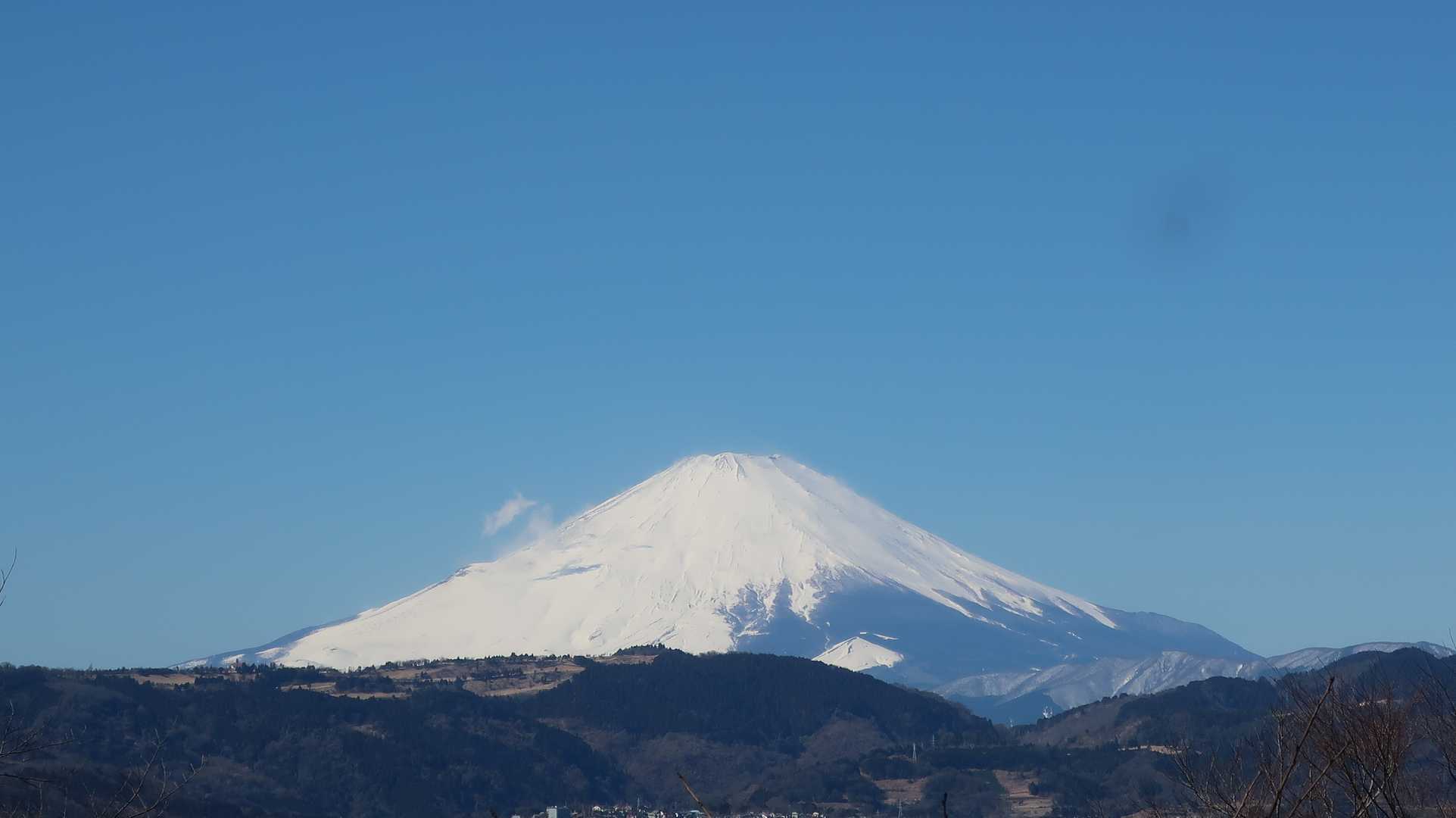 弘法山公園入口登山口-権現山 往復コースの写真