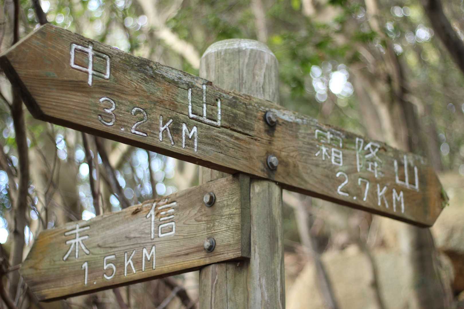 観音岳 往復コースの写真