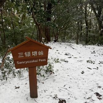 雪量が増えてきました❄︎
