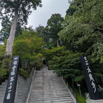 往路で下りた階段を見上げます。四国霊場第三十一番　舎心山太龍寺とあります。