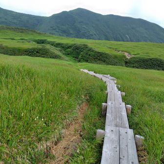 草原の中を進みます