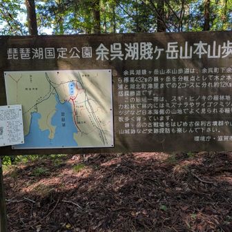 ここは山本山歩道