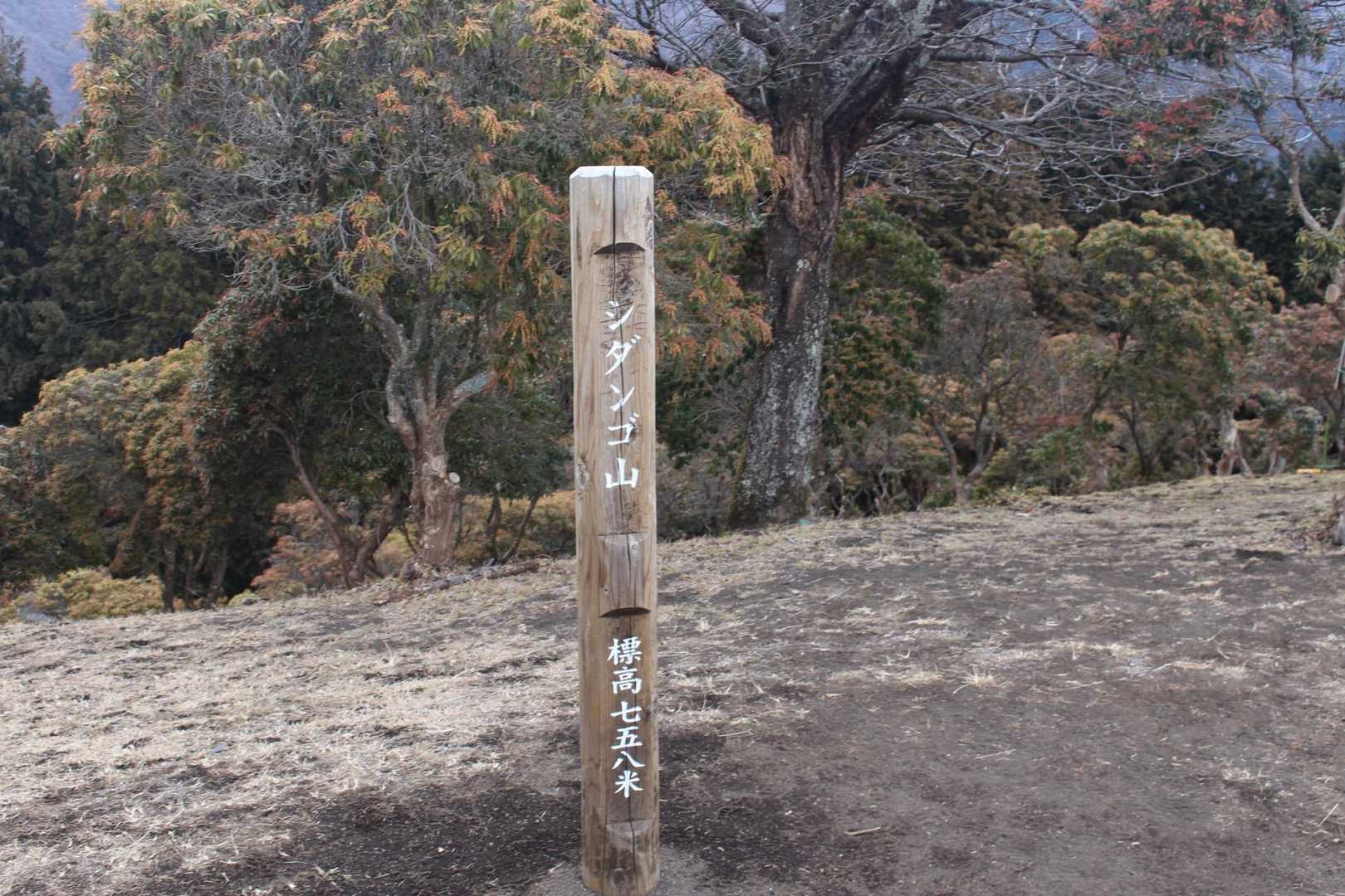 高松山入口バス停-ビリ堂-高松山-フトウ山-桜丸-ダルマ沢 縦走コースの写真
