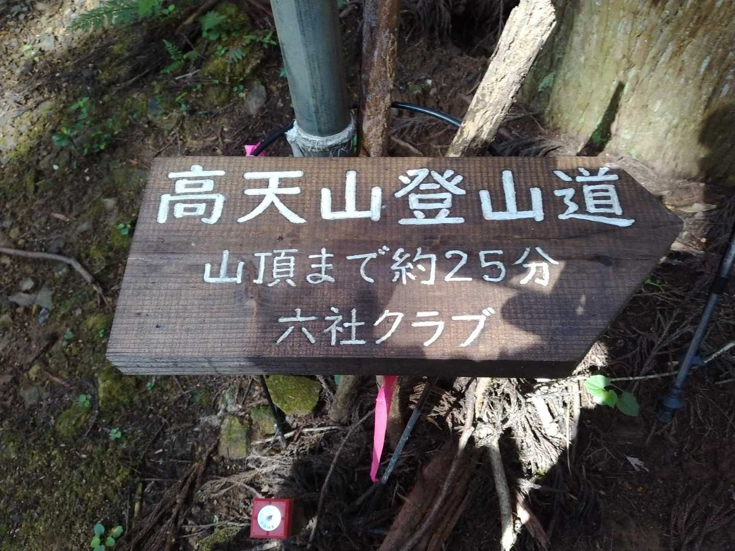 ここまでの林道歩きが結構長かった！