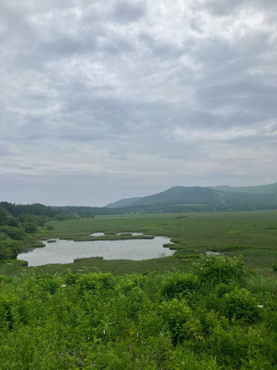池に接近して見ました♪