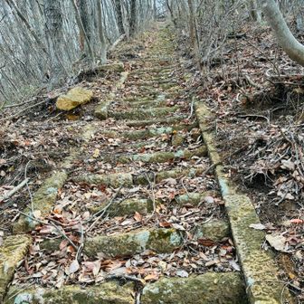 昔はこちらが表参道だったのかな