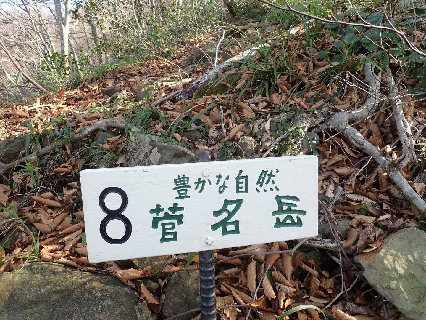 菅名岳からの下り　豊かな自然