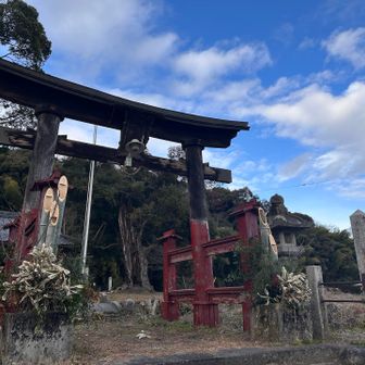 八幡神社もお正月の装い🎍⛩🎍
