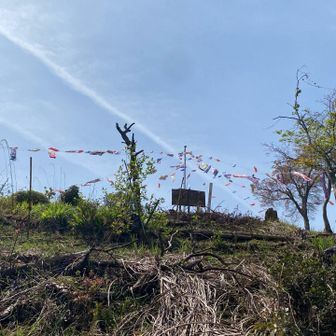 山頂にバイバイ👋