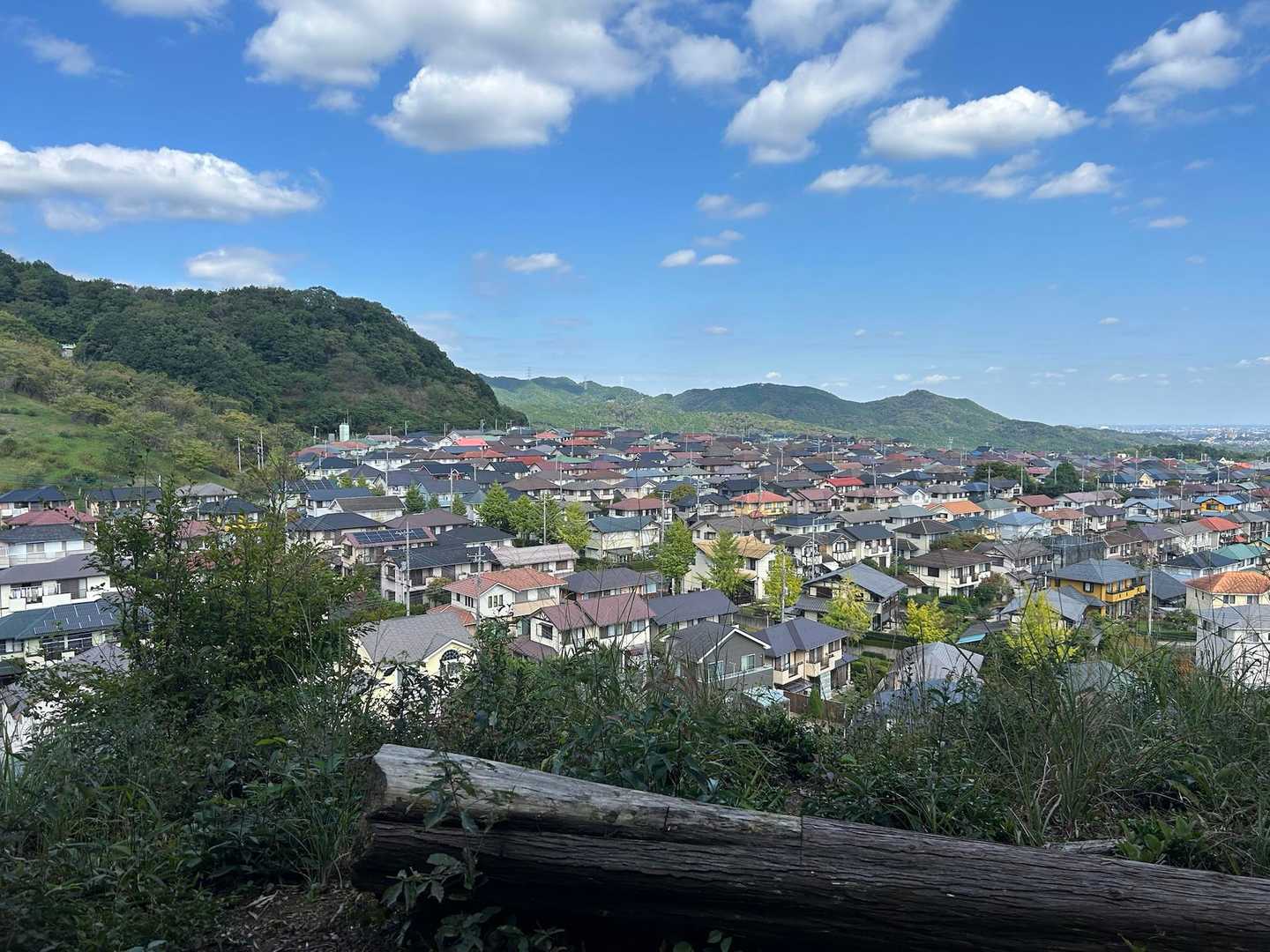 住宅街が見えてきました。
