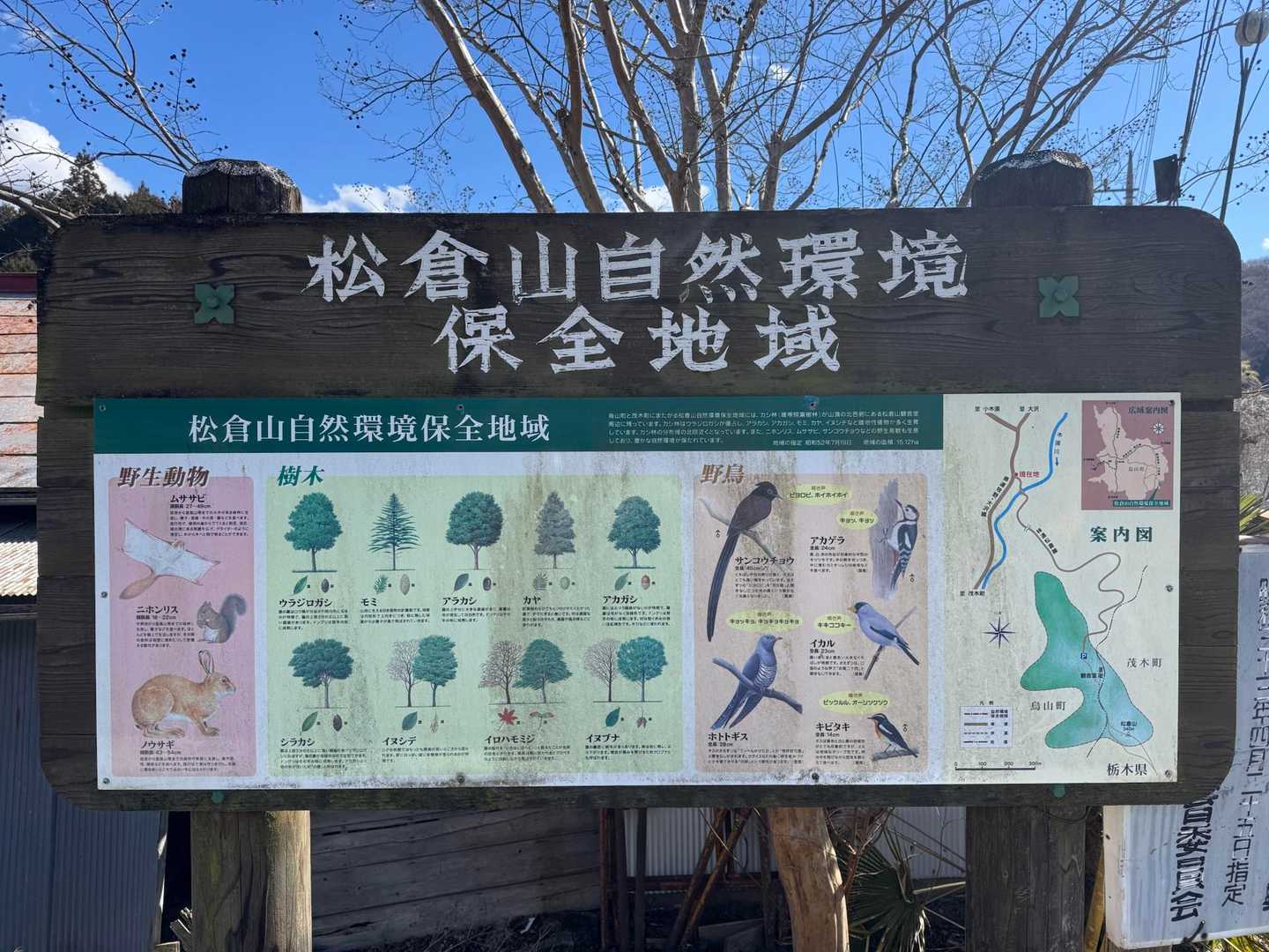 松倉山 往復コースの写真