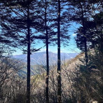 このあたりが円塚山のさんちょ
と思われる

ちらりと景色が見えて