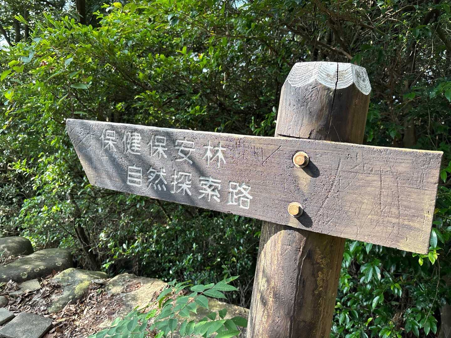 一回おります