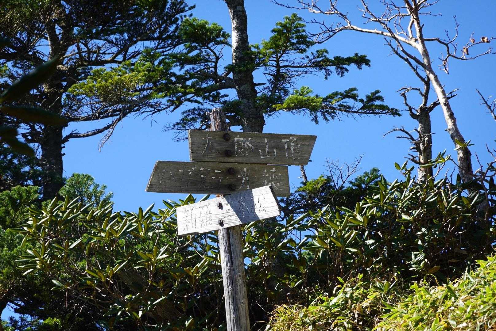 もうすぐ山頂✨