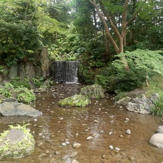滝