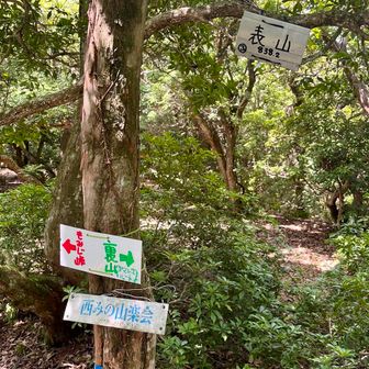 表山さんちょ
景観はありません！
