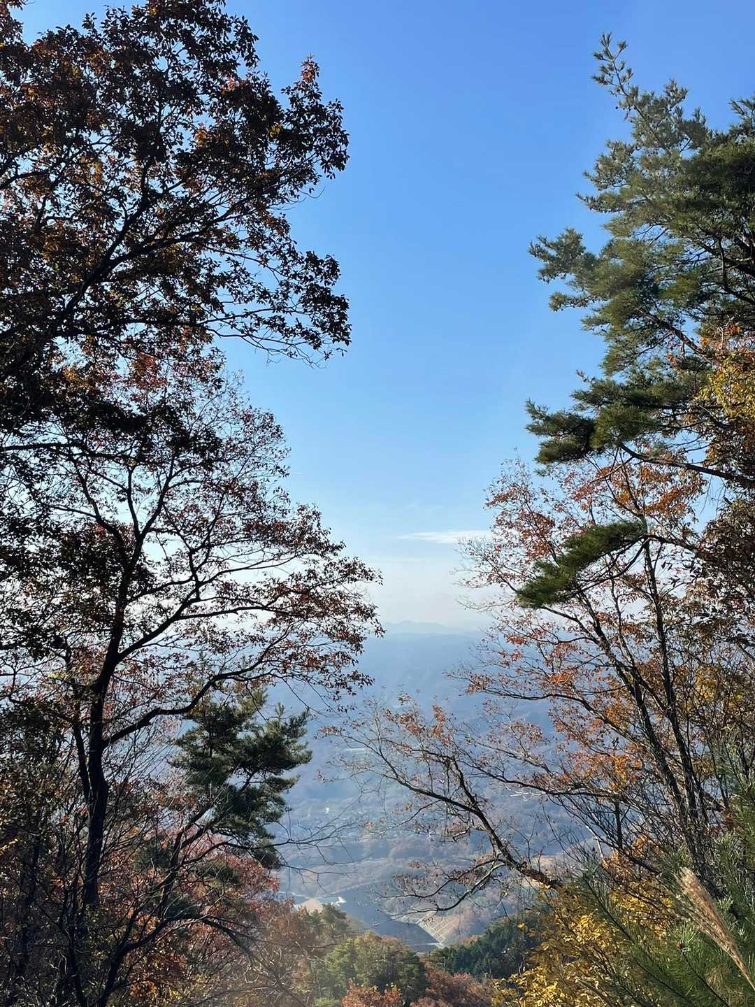 遠くに見えるのは大峯の山か👀
