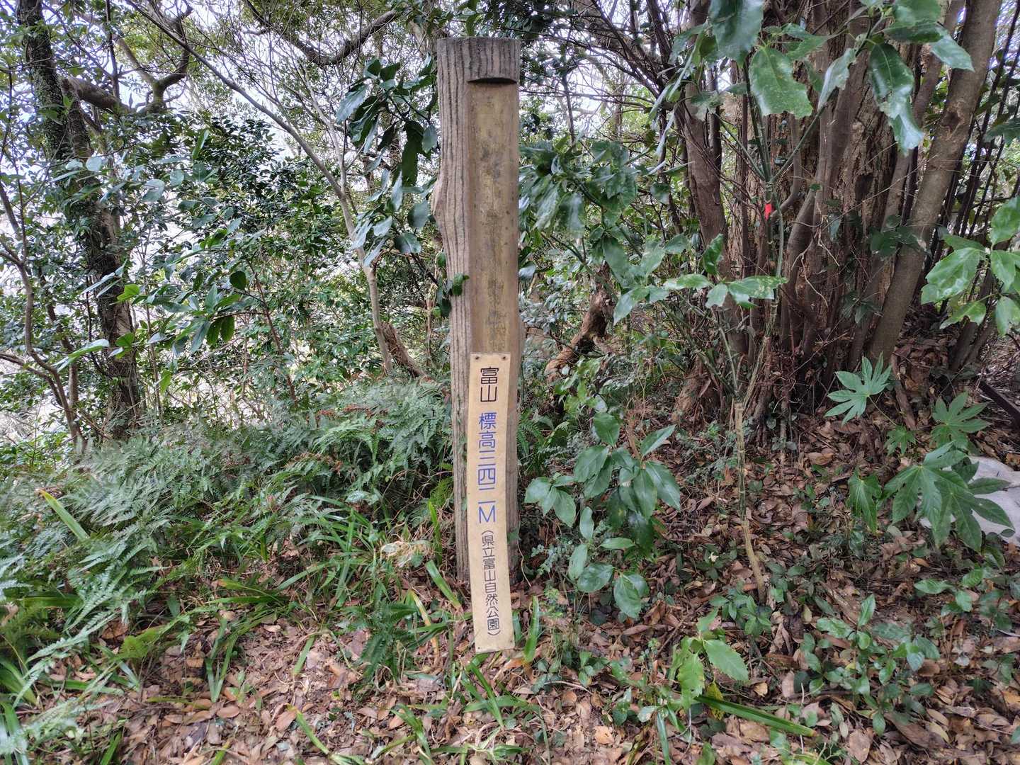 富山南峰とうちゃこ、これ見つけるのに徘徊しました🥴