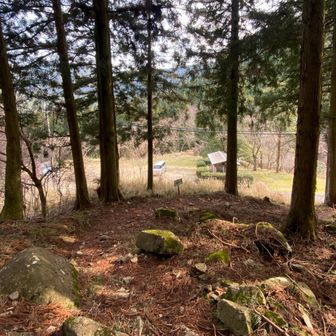 そうこうしてる間に
無事gezaーnnしました