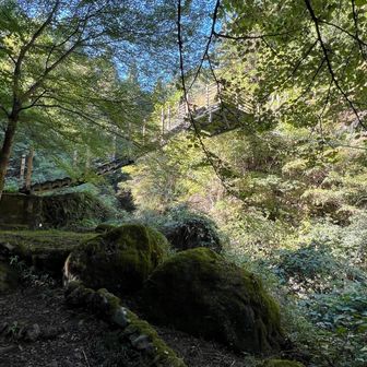竜神橋まで戻ってきました