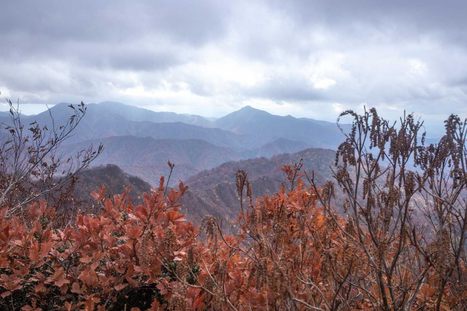 光兎山も登って無いなぁ