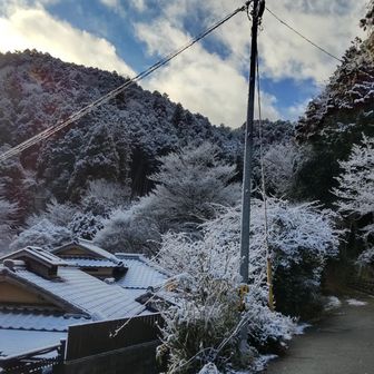 道に雪はありませんでしたが、周りは雪化粧でウキウキします