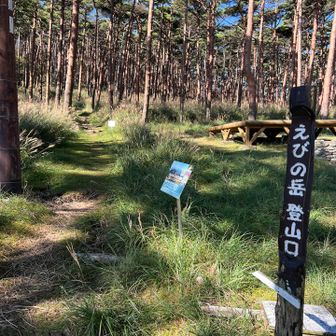 えびの高原キャンプ場の登山口に出てきました
