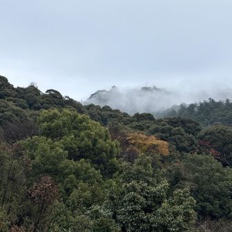 突撃じゃー🚩
足元悪いので着実に行きます💪
