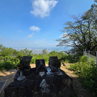 茶臼山頂⛰️
山頂にはクマバチが沢山います🐝
近寄ってきてボバリングしてますが、飛び回っているほとんどは雄で針を持っていないので人を攻撃することは滅多にありません🐝
