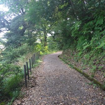 公園への下山はよく整備された遊歩道です