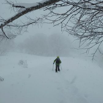 山行開始。始めは膝下ラッセル。