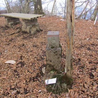 三国山に辿り着きました
ここも山頂標識はありません