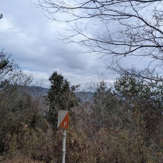 山頂はあんまり眺望はないね