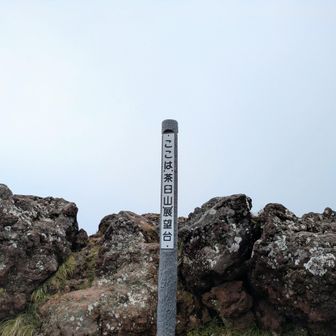 茶臼山も寄り道して一応踏んでおく。天気が良ければ眺望はよさそう。麦草峠方面に繋がってるのね。
下山時に道を間違えてちょっと焦った。踏み跡はあったので戻れたからよかったけど。