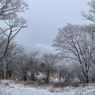 富士山はここから見えるのかと。
