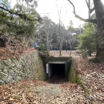 と思ったらアンダーパスで道路反対側の東海自然歩道へ。