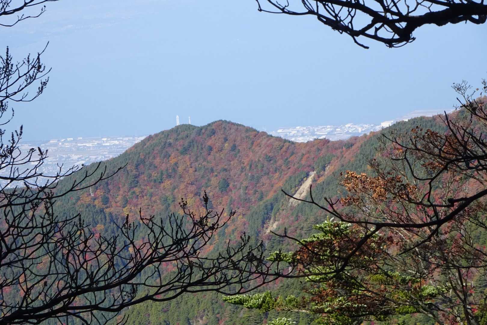 激下りの木の間から西条市内と紅葉🍁した山がきれいだった〜