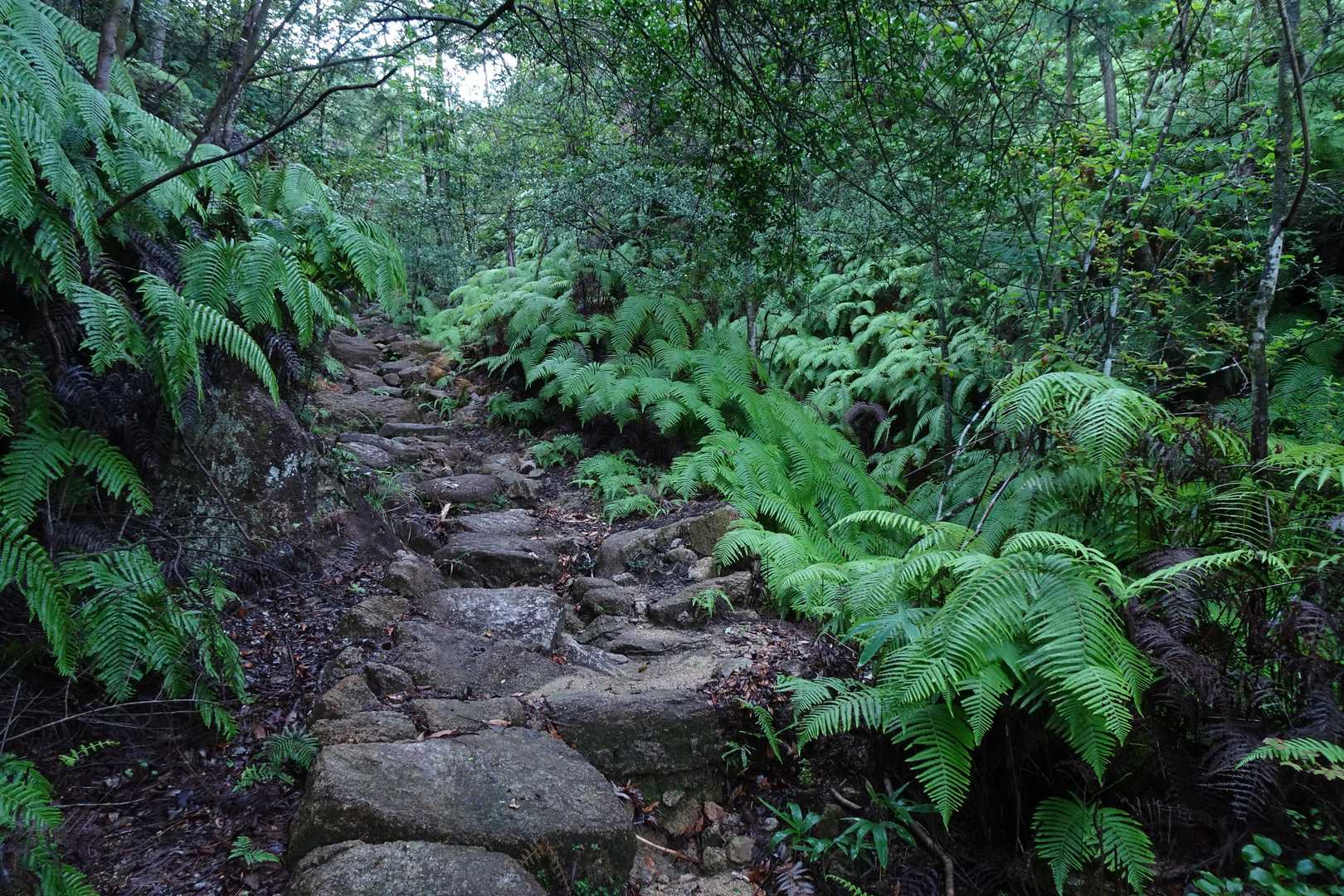 すごい湿度です💦