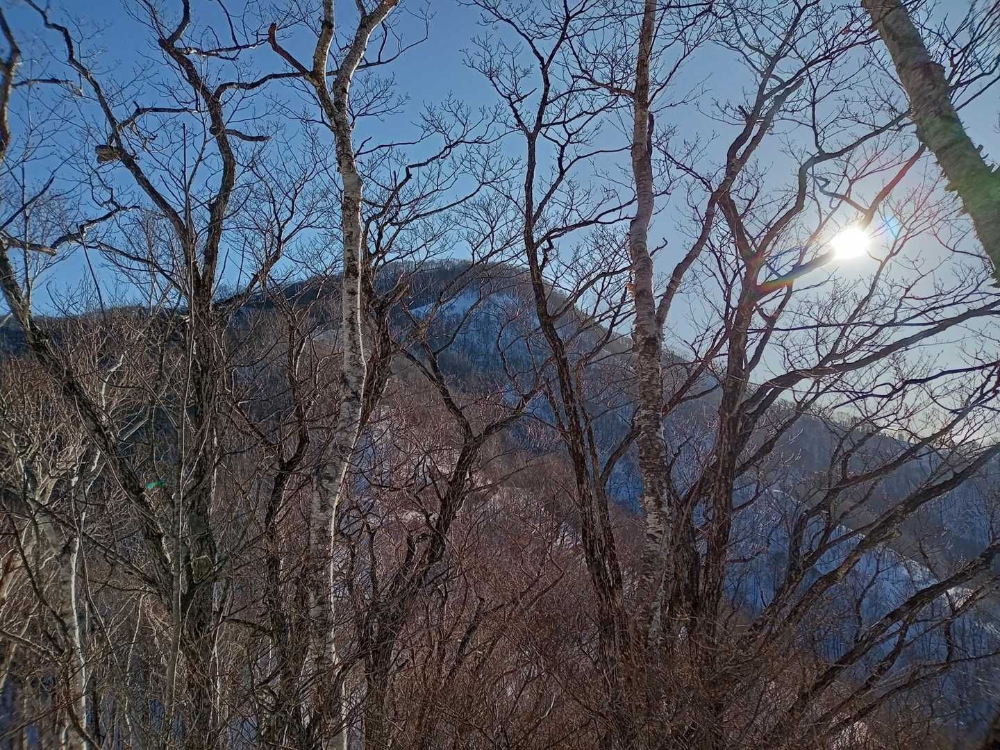 前ペラリ山　▲504m着！
ペラリ山見えました！
天気良い〜☀