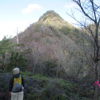 とんがってるわ👀