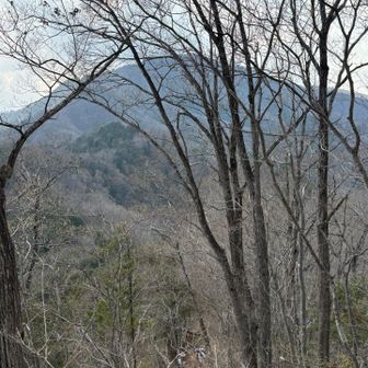 遠くに高川山が見えた