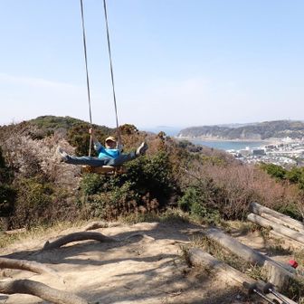 ハイジのブランコ